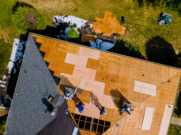 Best Roof Gutter Cleaning  in Aberdeen Proving Ground, MD